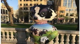 Bucky Badger_Wisconsin Colors on Capitol2.jpg - Copy