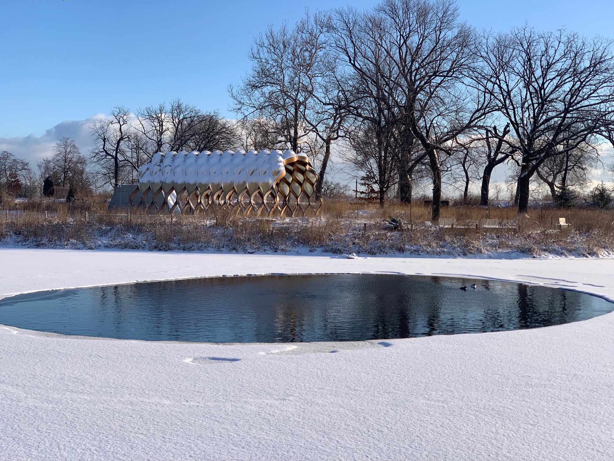 ClareFolio_South Pond_Morning Snow_02 25 2022