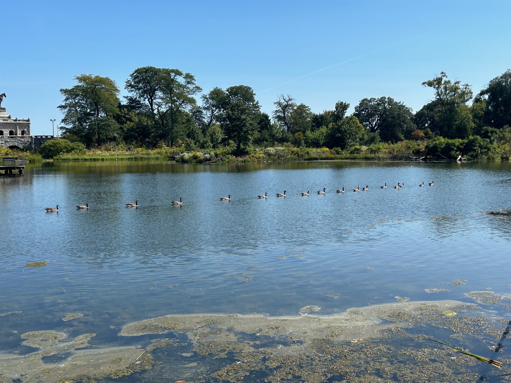 ClareFolio_17 Ducks in a Row_September 2024